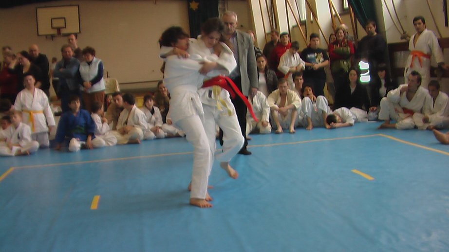 imga0381.jpg