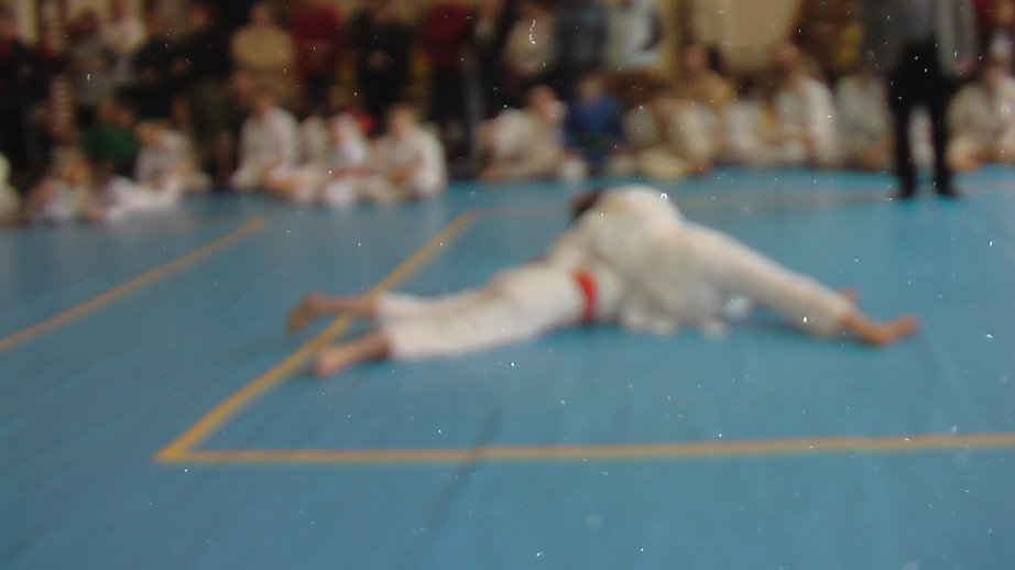 imga0393.jpg