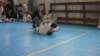 imga0418_small.jpg
