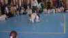 imga0440_small.jpg