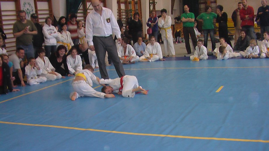 imga0448.jpg