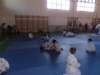 p6040784_small.jpg