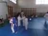 p6040785_small.jpg