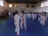 p6040786_small.jpg