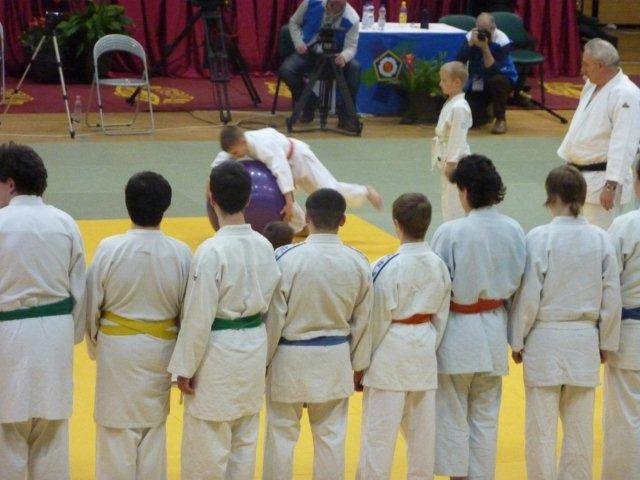 p1010511.jpg