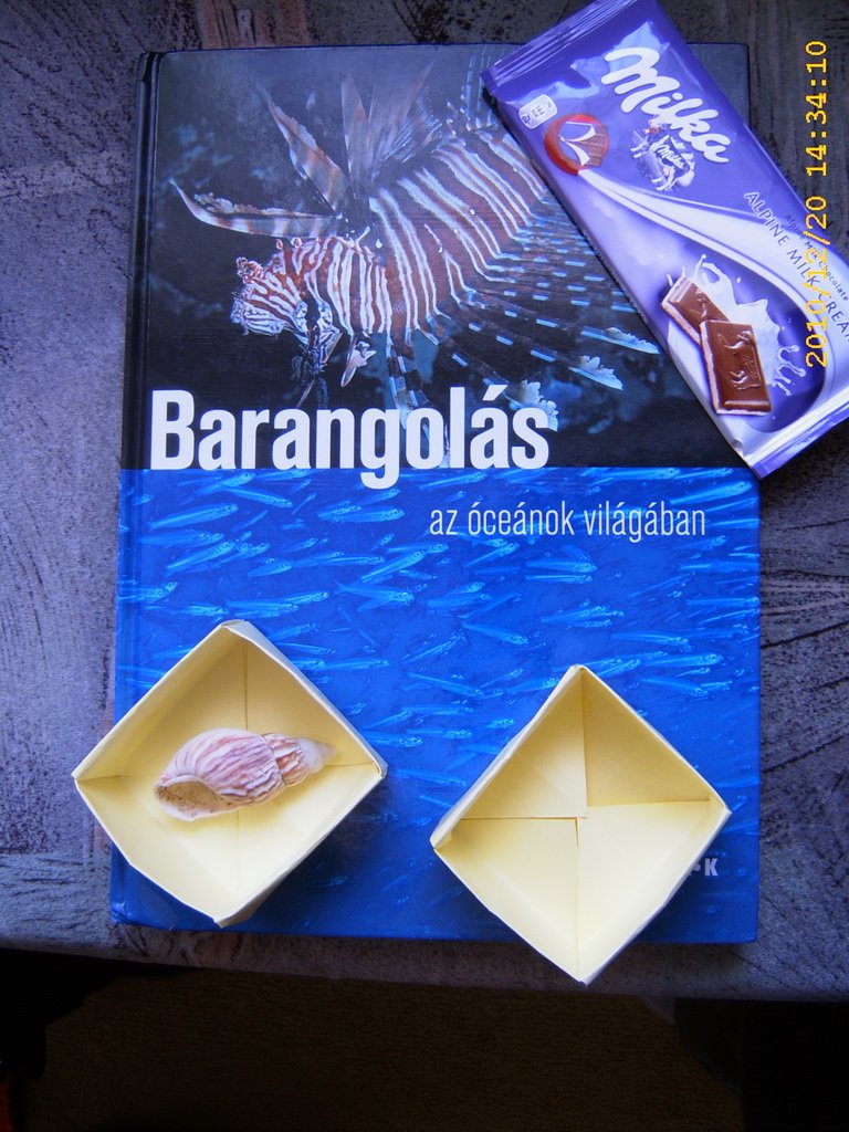 gogerb.jpg