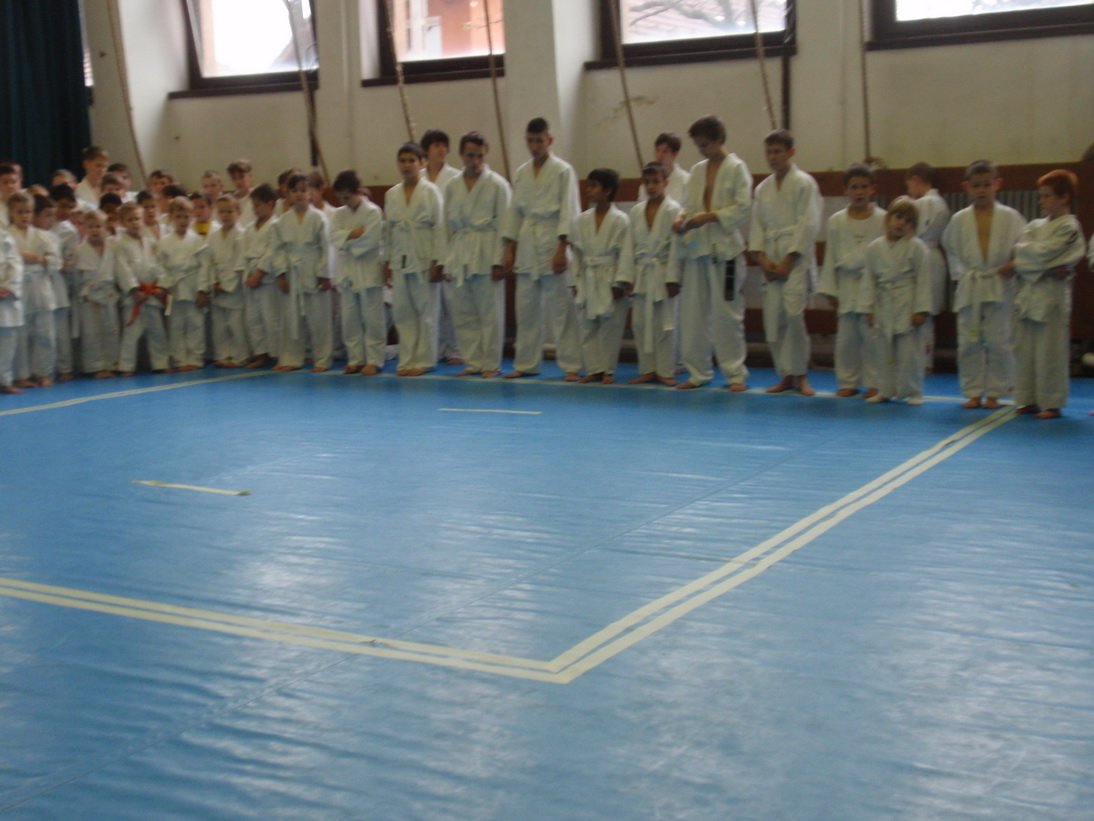 pc111425.jpg