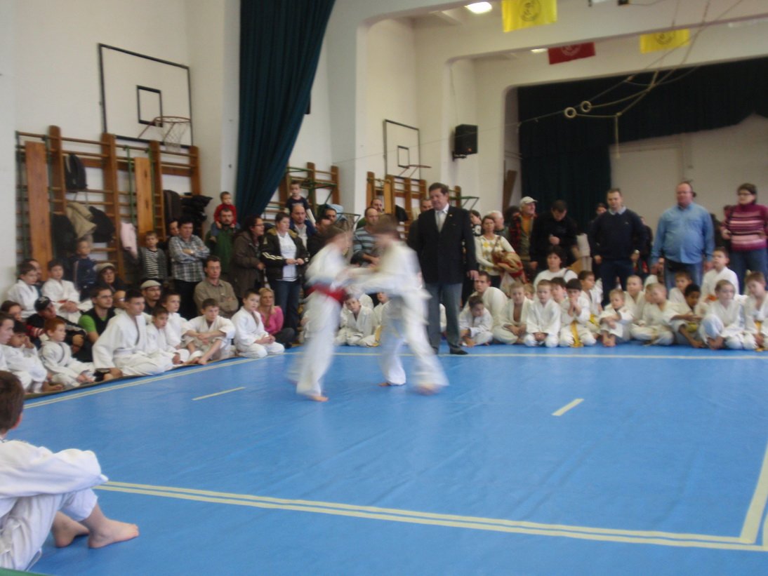 pc111452.jpg