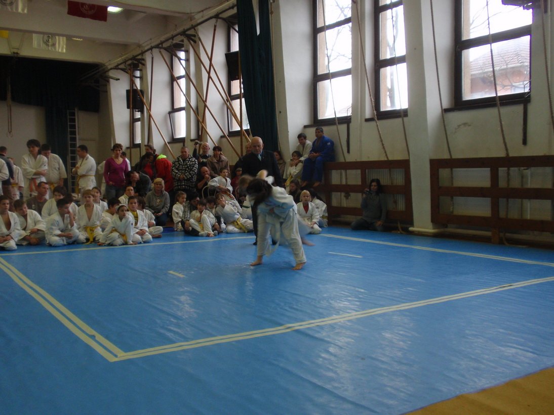 pc111468.jpg