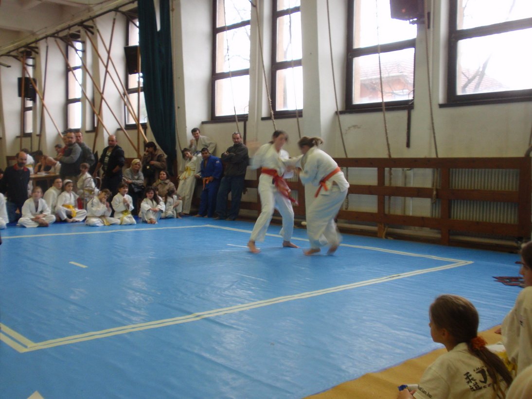 pc111481.jpg