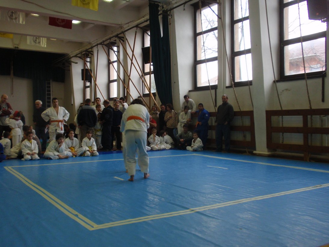 pc111487.jpg