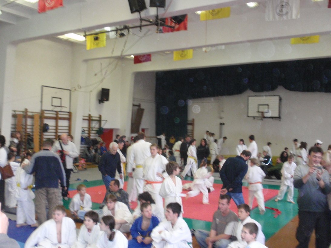 pc111491.jpg