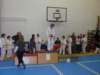 pc111605_small.jpg