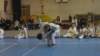 imga0849_small.jpg
