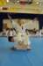 n13_2274_small.jpg