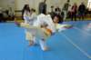 n13_2287_small.jpg