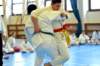 n13_2373_small.jpg