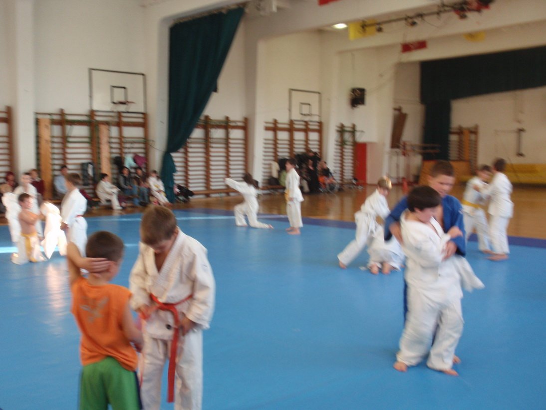 pa210956.jpg