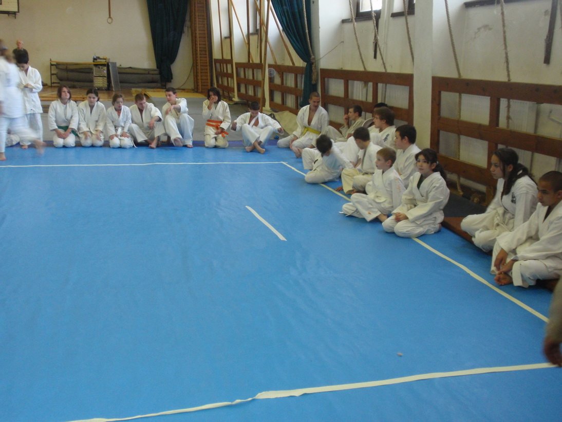 pa291003.jpg