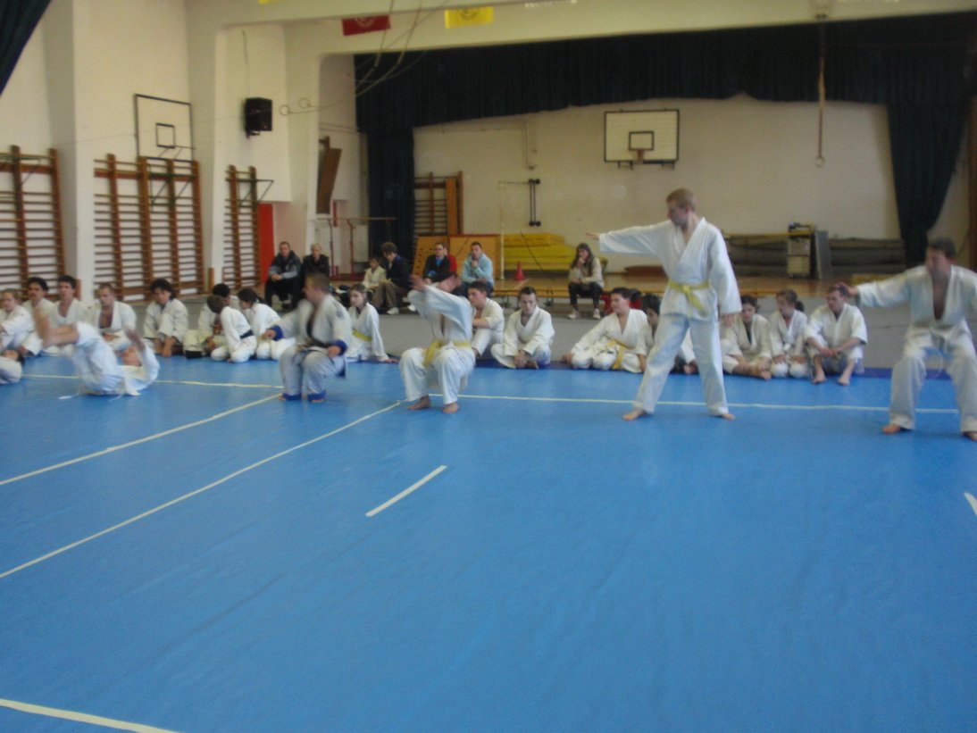 pa291008.jpg