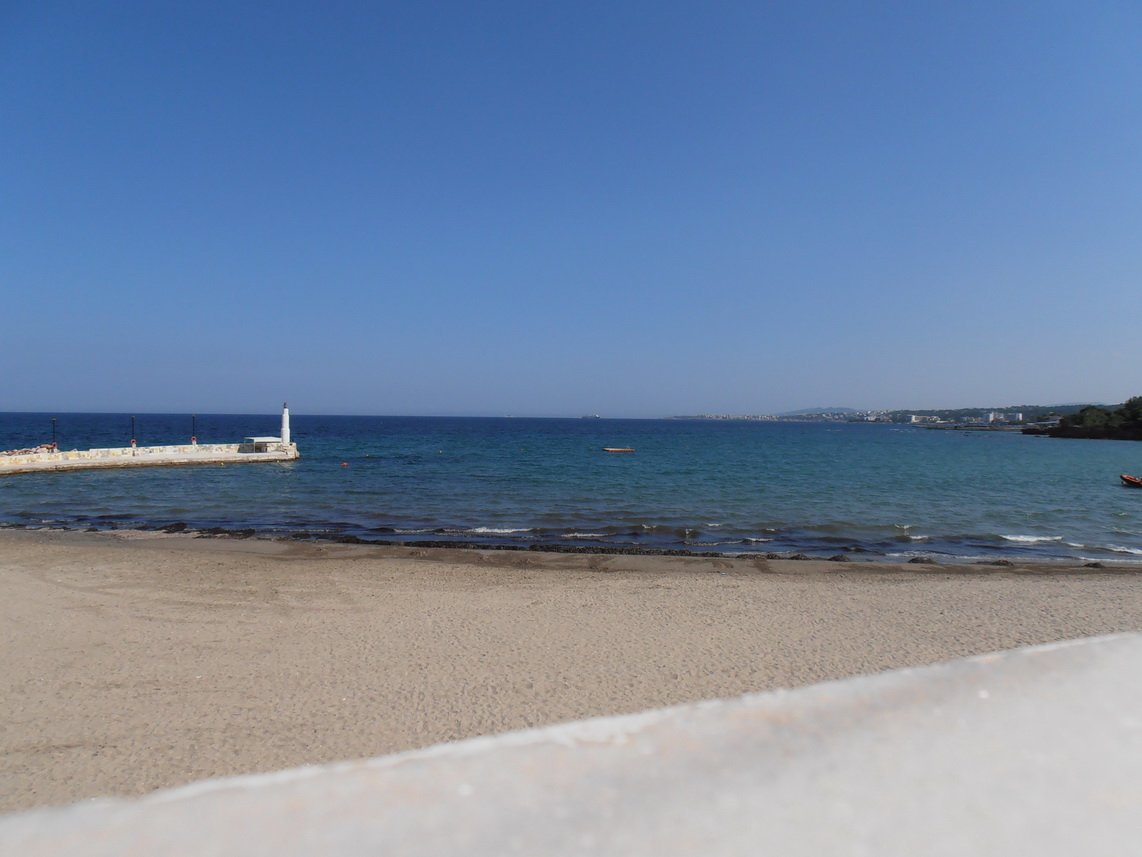 p7020183.jpg