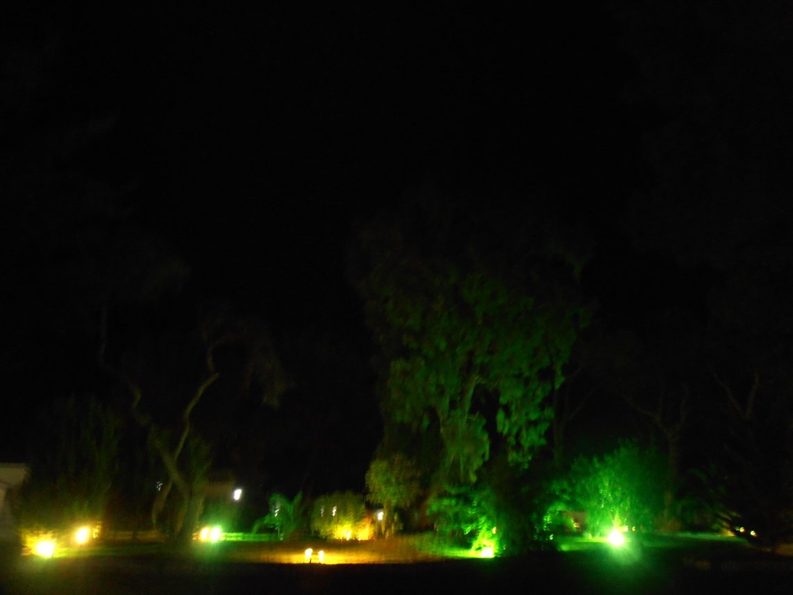 p7030214.jpg