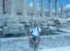 p1070948_small.jpg