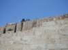 sdc10328_small.jpg