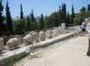 sdc10331_small.jpg