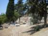 sdc10333_small.jpg