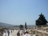 sdc10355_small.jpg
