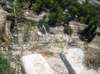 sdc10379_small.jpg