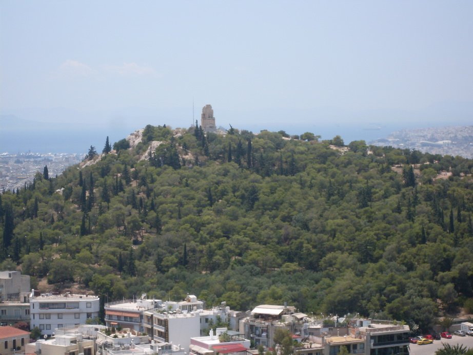 sdc10381.jpg