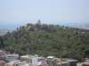 sdc10381_small.jpg