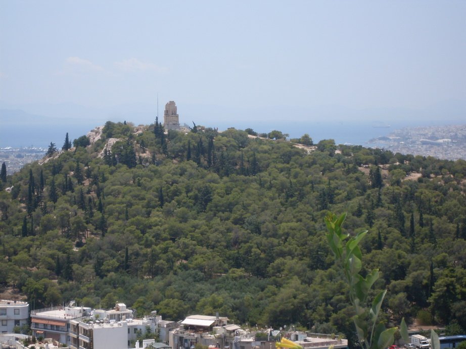 sdc10382.jpg
