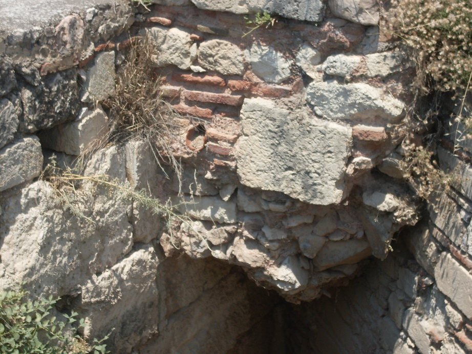 sdc10384.jpg