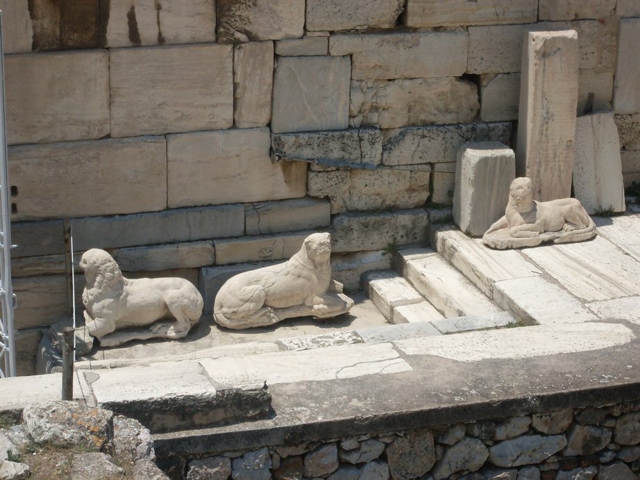 sdc10409.jpg