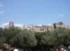 sdc10416_small.jpg