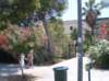 sdc10421_small.jpg