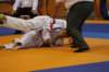 img_0127_small.jpg