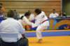 img_0147_small.jpg
