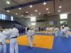 p1010176_small.jpg