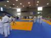p1010177_small.jpg