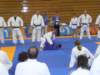 p6060180_small.jpg