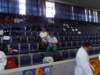 p6060182_small.jpg