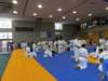 p6060184_small.jpg