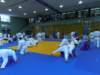 p6060185_small.jpg