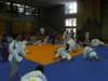 p6060188_small.jpg