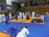 p6060193_small.jpg
