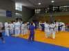 p6060199_small.jpg